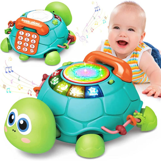 Baby Musical Turtle Activity